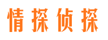 元阳市调查公司